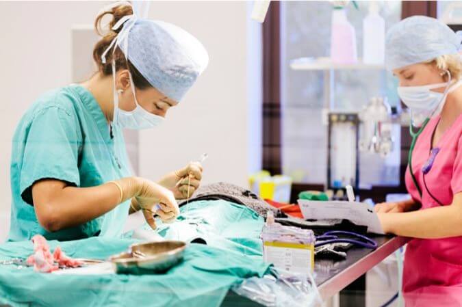 Foto de dos mujeres veterinarias realizando una cirugía